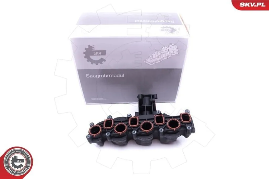 Collecteur d'admission ESEN SKV 49SKV008 pour VW Golf VI et Passat