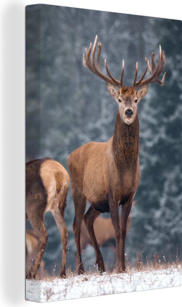 OneMillionCanvasses - Leinwandbilder - 90x140 cm, Waldtiere - Hirsche - Landschaft - Winter - Schnee - Natur, Wandbilder Kunstdruck Wanddekoratio...