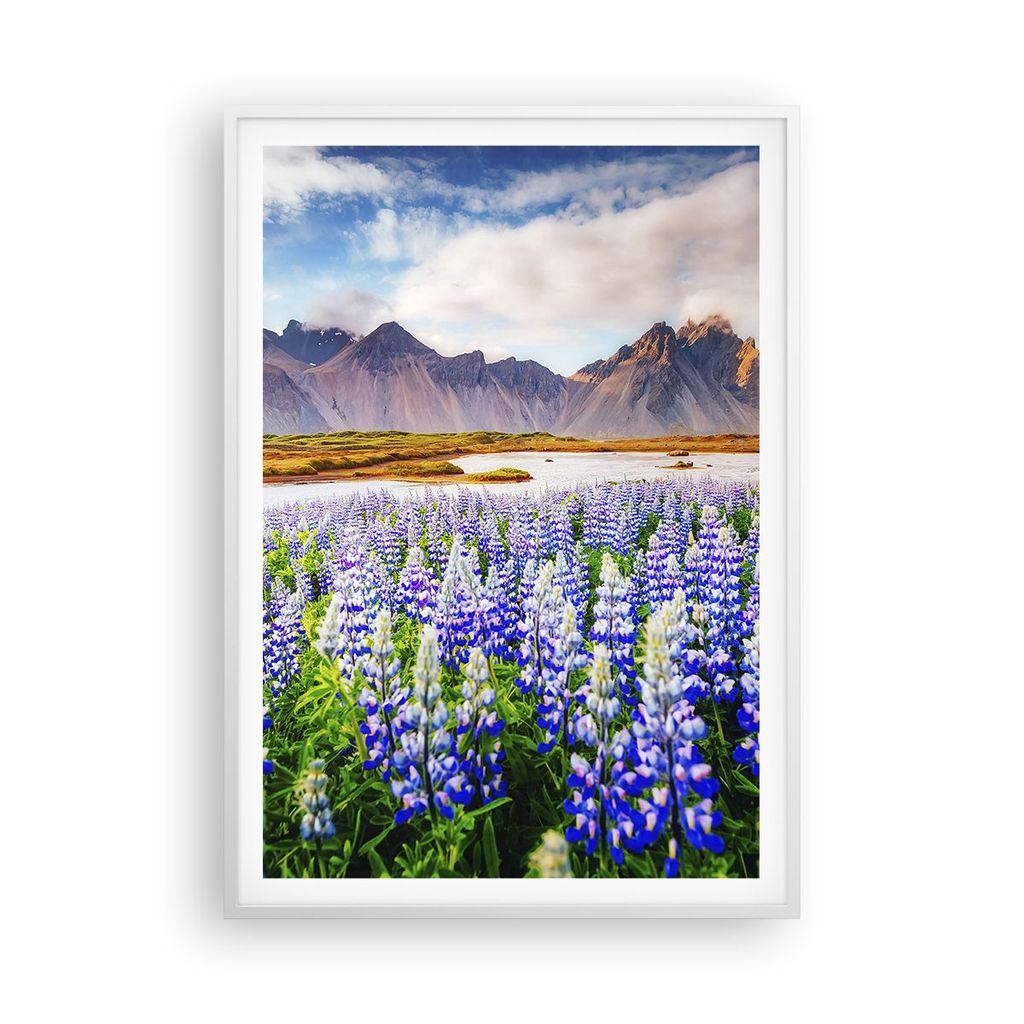 Gerahmtes Poster - Weißer Rahmen - Berge Wiese Blumen - 70x100 cm - Wand Bild - Wanddeko - Wandbilder - Kunstposter - Wandposter - Bilderrahmen - ...