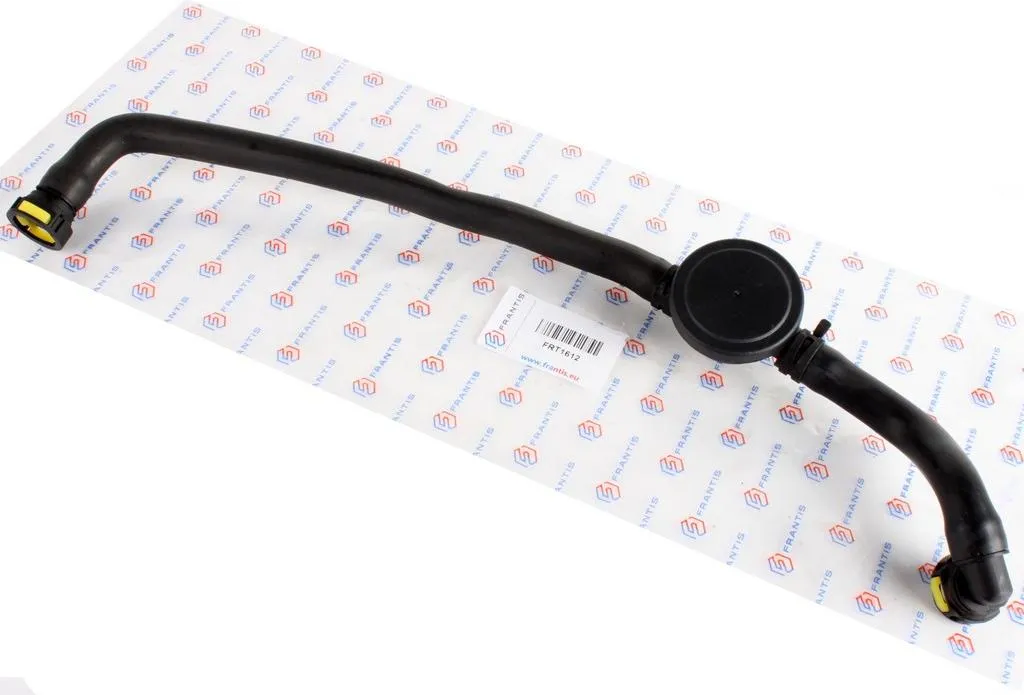 Soupape de Purge 1.9 dCi : Évitez la Surchauffe Moteur avec Tuyau