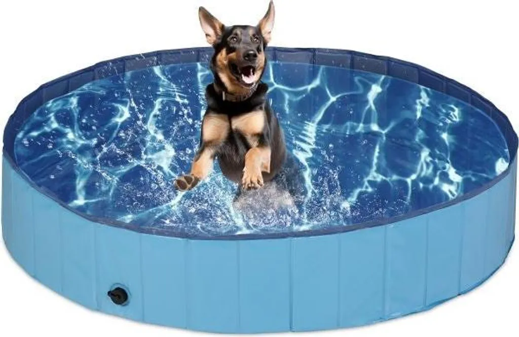 Piscine bleue pour chiens pliable et robuste de 120cm pour jardin