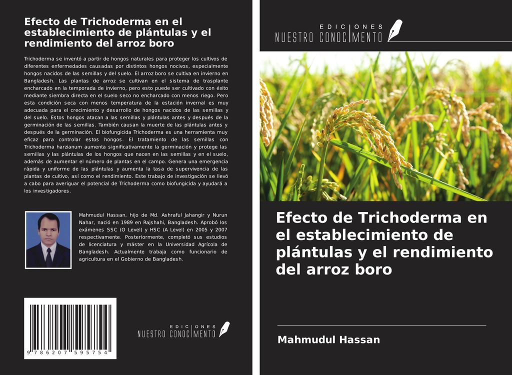 Efecto de Trichoderma en el establecimiento de plántulas y el rendimiento del arroz boro