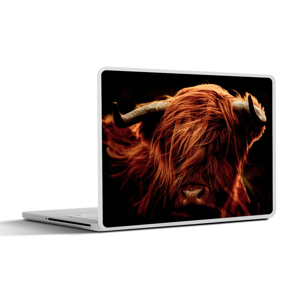 MuchoWow Laptop Aufkleber Sticker Cover Schottischer Highlander - Kuh - Hörner - Porträt - Tiere 25x18 cm - Laptop-Deko