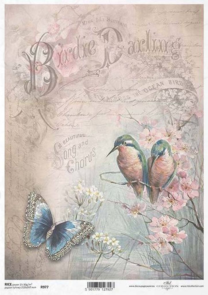 ITD Reispapier Decoupage Bastelpapier Serviettentechnik, R977 Vögel, Schmetterling