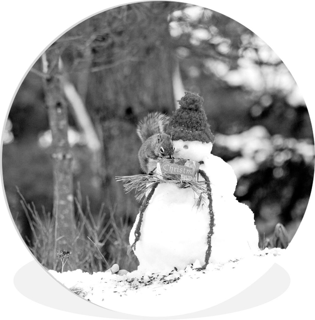 MuchoWow Rundes Wandbild - Runde Bilder Eichhörnchen sitzt auf einem Schneemann im Winter - schwarz und weiß Ø 90 cm Kreis Wanddekoration Kuns...
