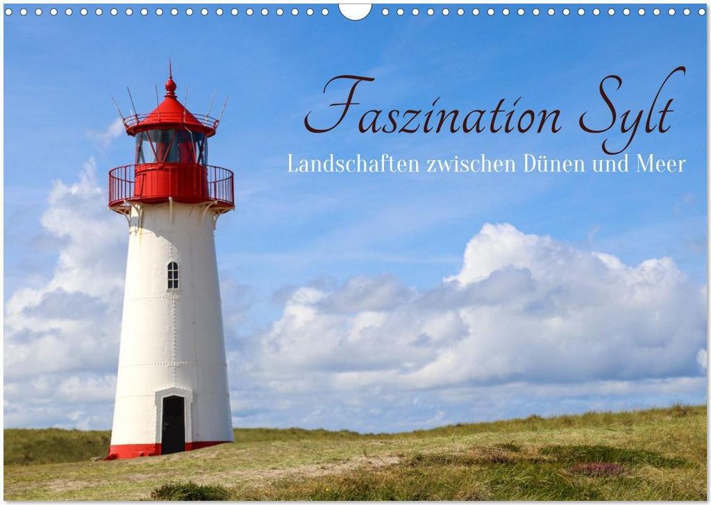 Faszination Sylt (Wandkalender 2026 DIN A3 quer), CALVENDO Monatskalender