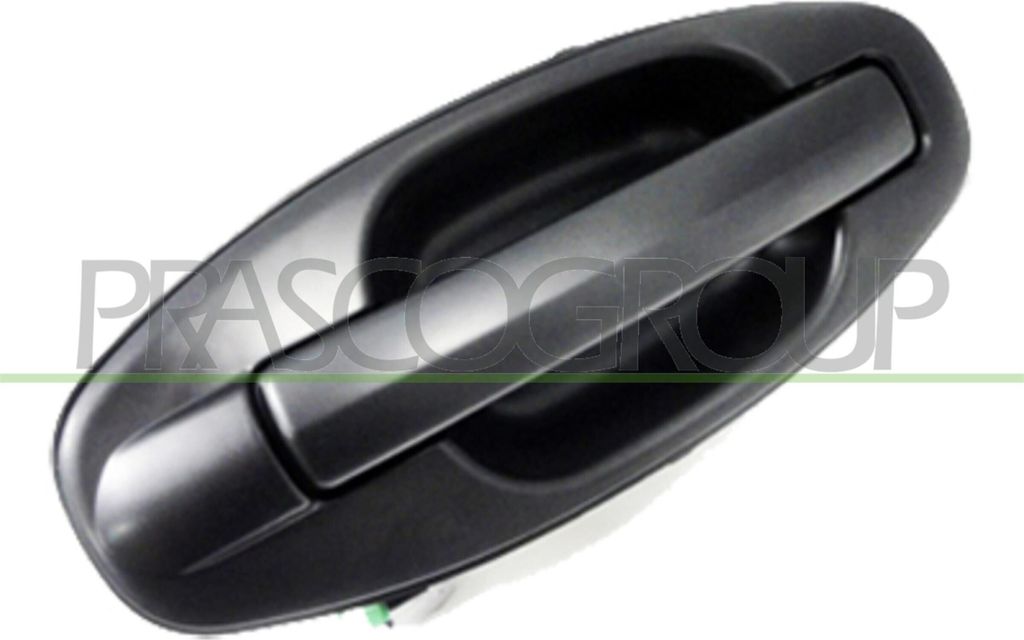 PRASCO HN8128104 Türgriff Hinten Links für HYUNDAI SANTA FÉ I