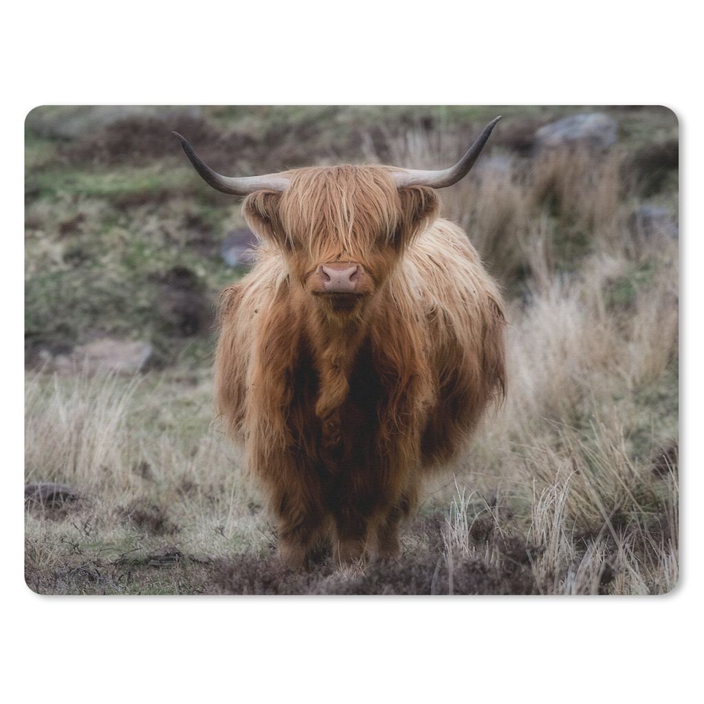 MuchoWow Mauspad Mousepad Schottischer Hochländer - Moos - Gras 23x19 cm - Mousepads - Maus Mat - Pad - Mausunterlage - Schreibtischunterlage - ...