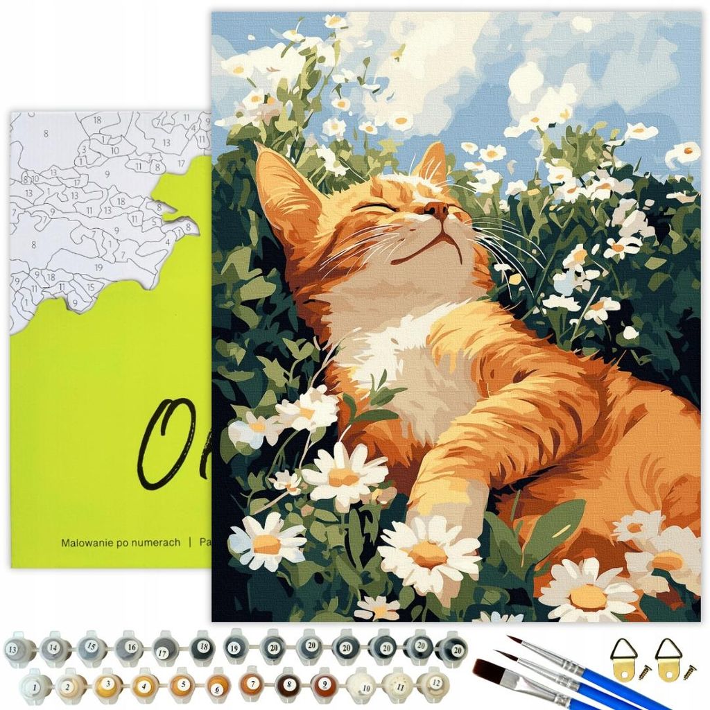 Figured'Art Peinture par Numéro Adulte avec Cadre Koala Coloré Abstrait - Activité Manuelle Kit de Loisir Créatif DIY Numéro d'Art Complet Animaux - 40x50cm avec châssis en bois à monter