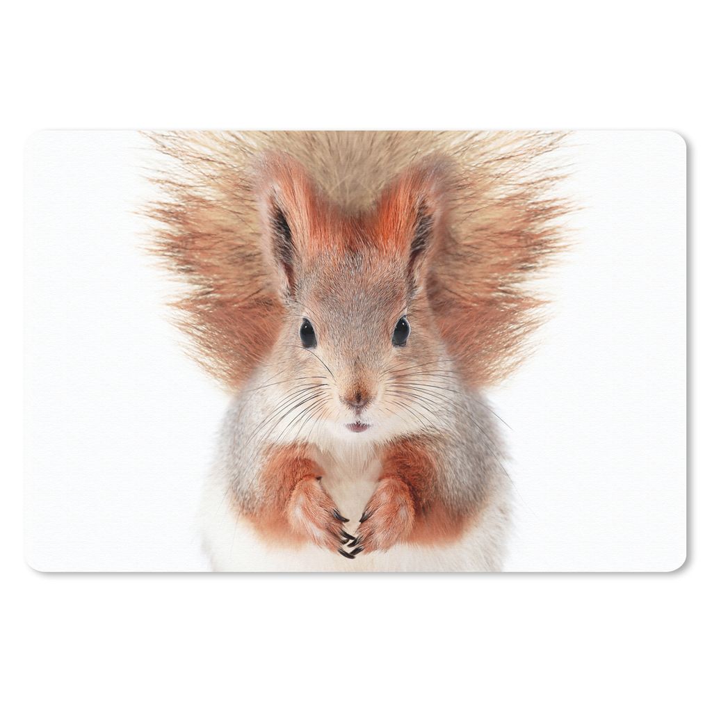 MuchoWow Schreibtischunterlage Eichhörnchen - Tiere - Natur - Orange - Weiß 60x40 cm - XXL Mauspad - Großes Mauspad
