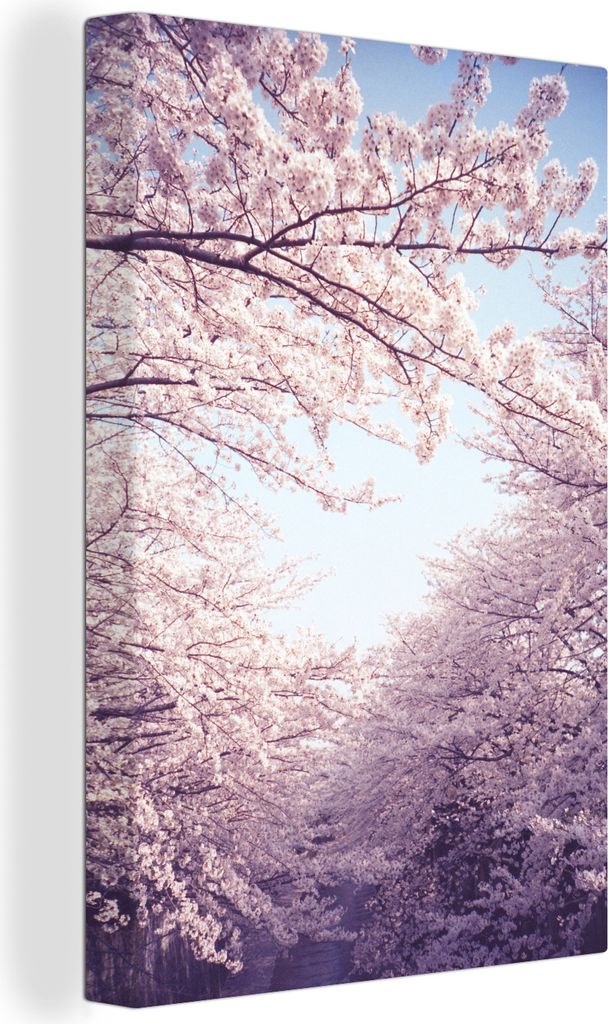 OneMillionCanvasses - Leinwandbilder - 90x140 cm, Sakura-Bäume im Sonnenlicht, Wandbilder Kunstdruck Wanddekoration - Foto auf Leinwand - Gemäl...