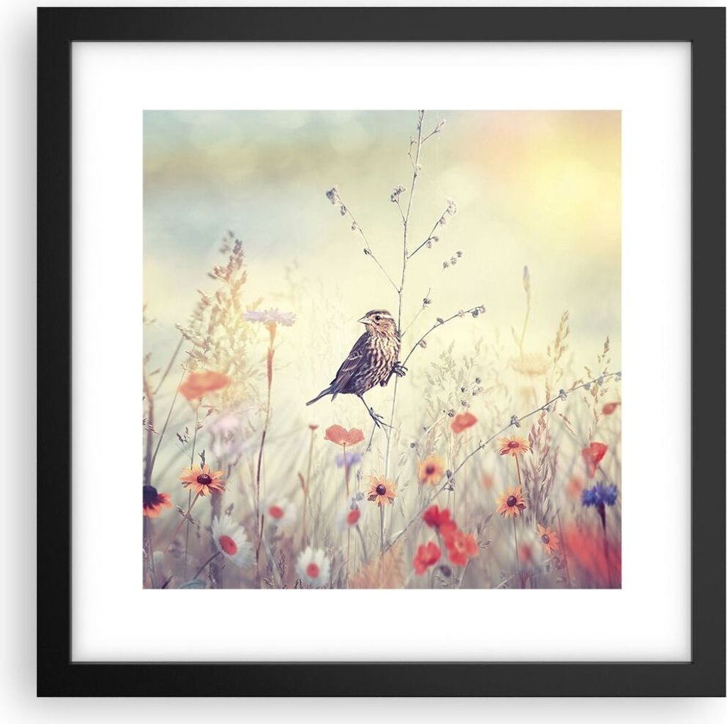 Gerahmtes Poster - Schwarzer Rahmen - Vogel Wildschwein Wiese - 30x30 cm - Wand Bild - Wanddeko - Wandbilder - Wandposter - Bilderrahmen - Bilder -...