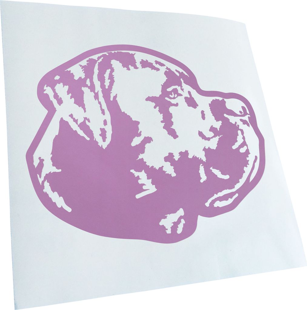 Kiwistar - Autoaufkleber - Cane Carso Hund - Flieder - 60x46cm - Aufkleber für Auto, Laptop, Fahrrad, LKW, Motorrad mehrfarbig JDM Decal Racing