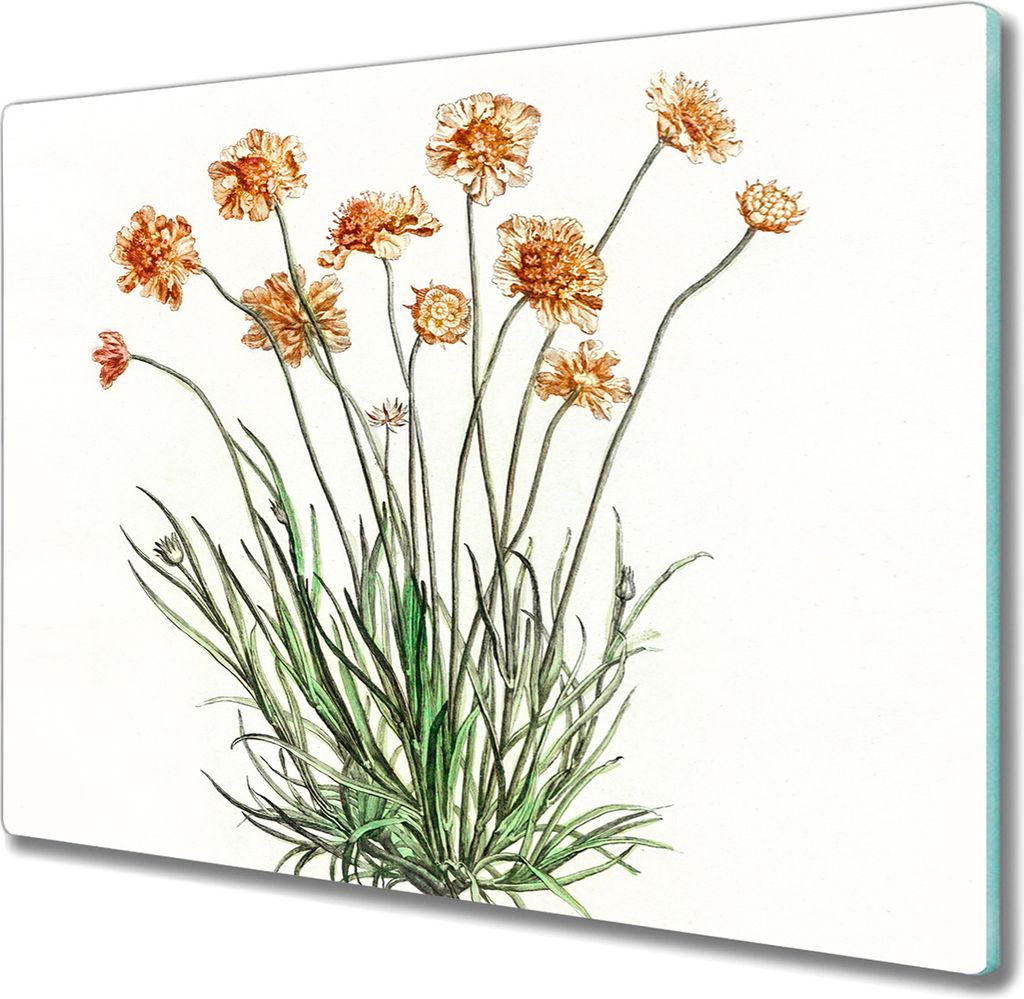 Coloray Schneidebrett Herdabdeckplatte 60x52 cm Kochplattenabdeckung Hackbrett Küchenbrett - Blumen Pflanzen
