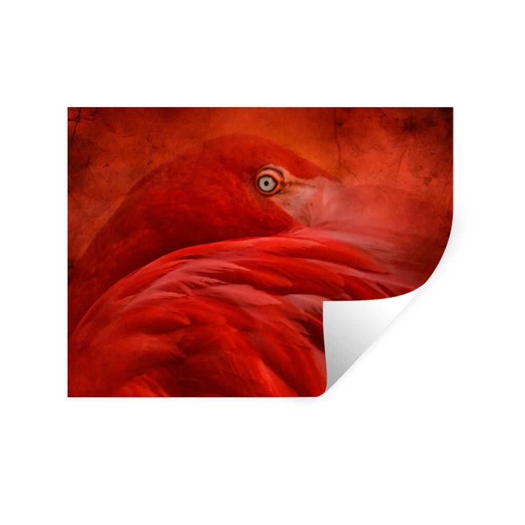 MuchoWow Wandtattoo Wandsticker Wandaufkleber Tropisch - Vogel - Rot - Tiere 40x30 cm Selbstklebend und Repositionierbar - Faltenfrei