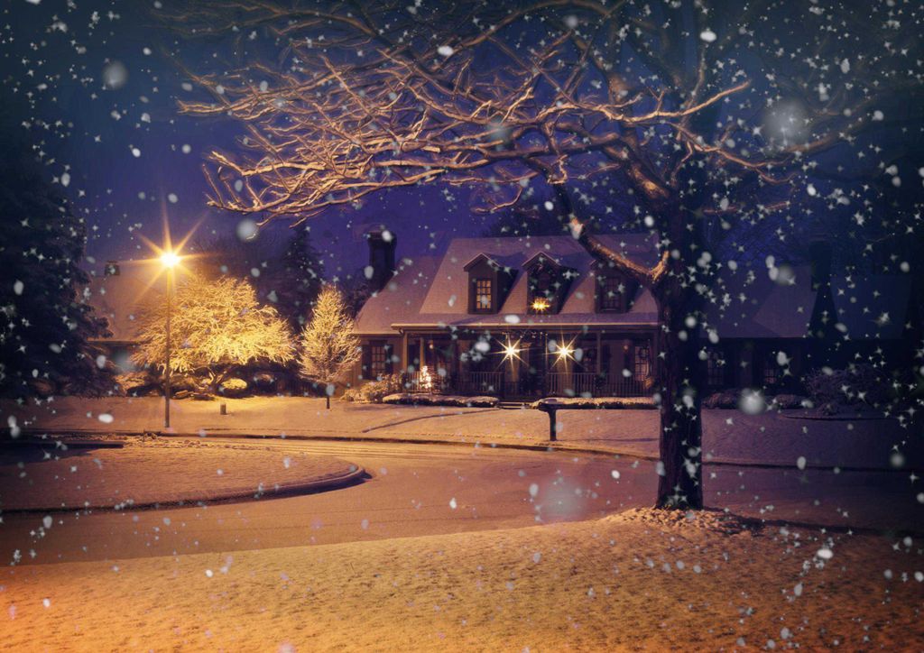 hansepuzzle 16164 - Winter-Wunderland Puzzle, 260 Teile, Natur, 41,0 x 28,0cm mit hochwertiger Aufbewahrung, Kartonbox & Beutel