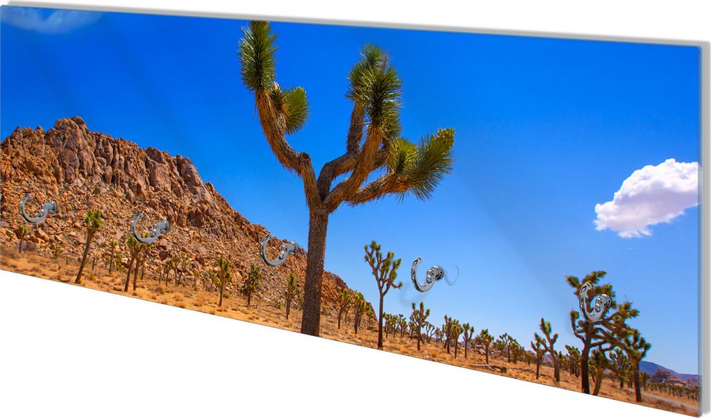 Wallario Flurgarderobe Wandgarderobe aus Glas, mit 5 Haken, Größe 80 x 30 cm, Motiv Palmlilie im Nationalpark Yucca Valley Wüstenlandschaft