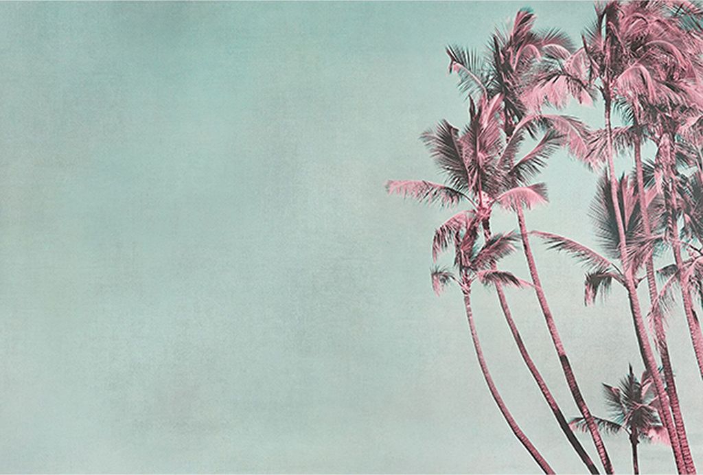 Tadessi Fototapete | Palmen | 4.00 m x 2.70 m | Rosa | Blau | Wandbild | Digitaldruck