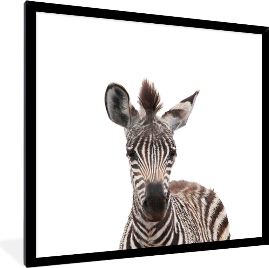MuchoWow Gerahmtes Poster Zebra - Porträt - Tiere - Kinder - Wildtiere 40x40 cm - Poster mit Schwarzem Bilderrahmen Wandposter Rahmen Foto Bilde...