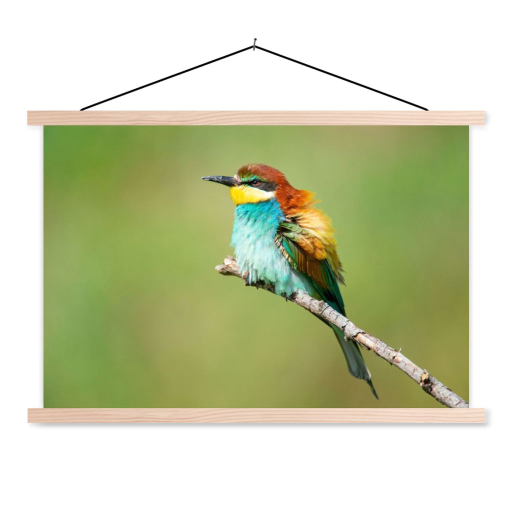 MuchoWow Textilposter Vogel - Tiere - Bienenfresser 120x80 cm mit holzfarbenen Rahmen - Aufhängeset
