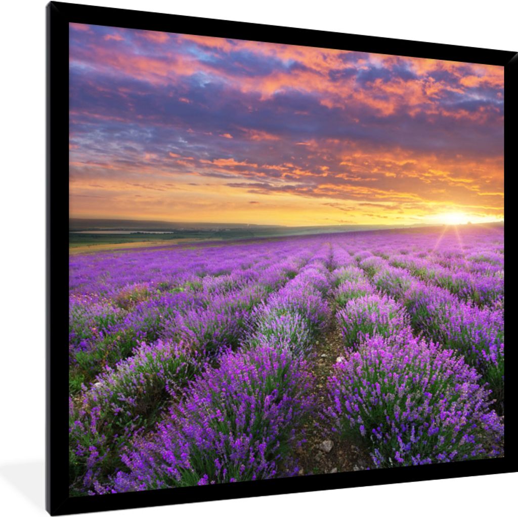 MuchoWow Gerahmtes Poster Lavendel - Wolken - Frühling 40x40 cm - Poster mit Schwarzem Bilderrahmen Wandposter Rahmen Foto Bilder - Mit Rahmen -...