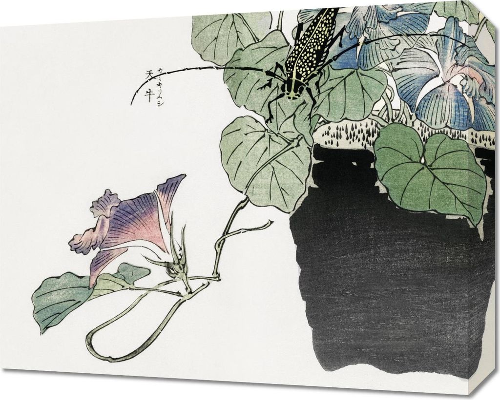 Bild 50x40cm Käfer Papierschneider Morimoto Toko Japanisch Vintage für das Wohnzimmer