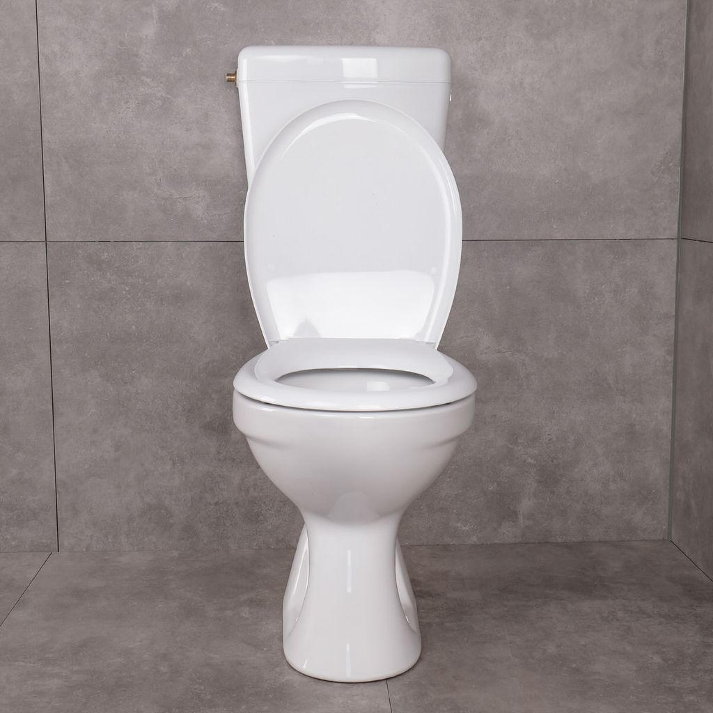 Belvit Stand WC Manhattan Grau Mit Softclose-Deckel & Spülkasten - Tiefspüler Bodenabgang