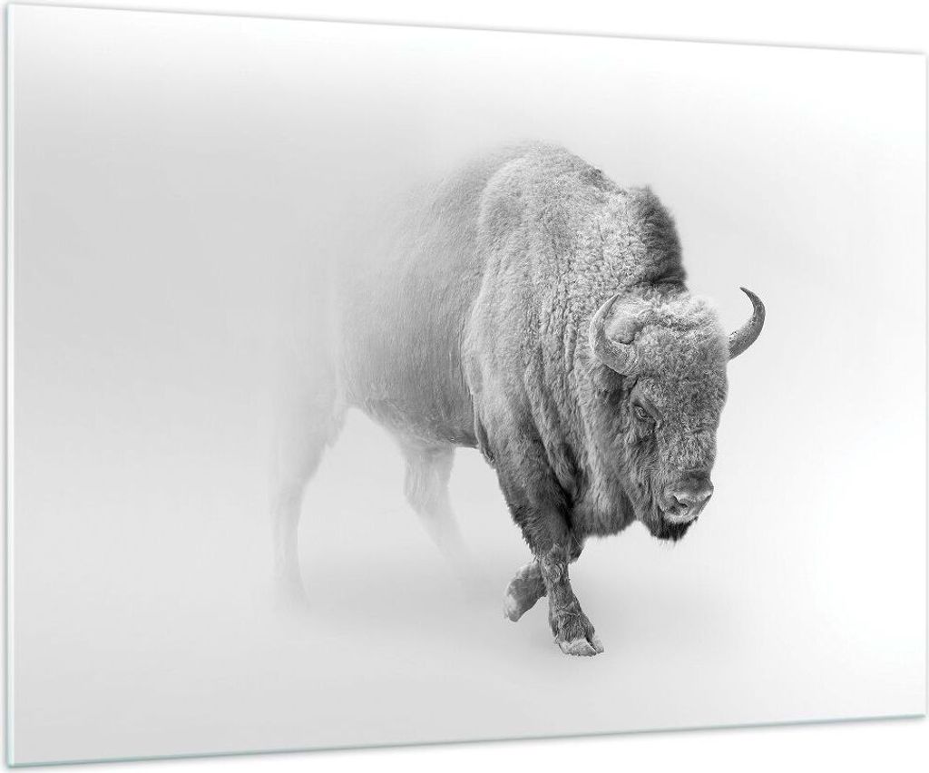 Bilder auf glas - Einteilig - Wisent Schwarzweiß Licht - 100x70cm - Glasbilder - Wandbilder - Bilder - zum Aufhängen bereit - Wanddekoration aus ...