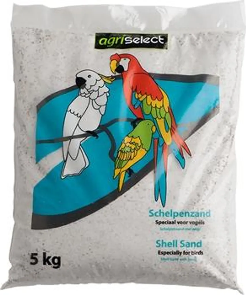 Sabbia di Conchiglia Decorativa per Vasi e Centrotavola | 1kg