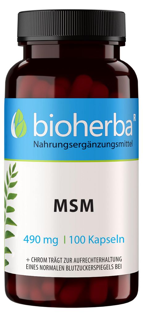 Bioherba MSM 490 mg 100 Kapseln