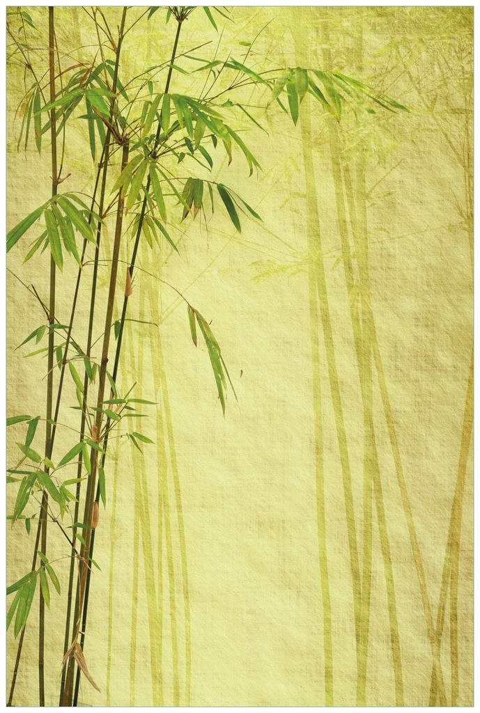 Wallario Wandbild aus Acryl, 90 x 60 cm, freischwebende Optik - Antiker Bambus