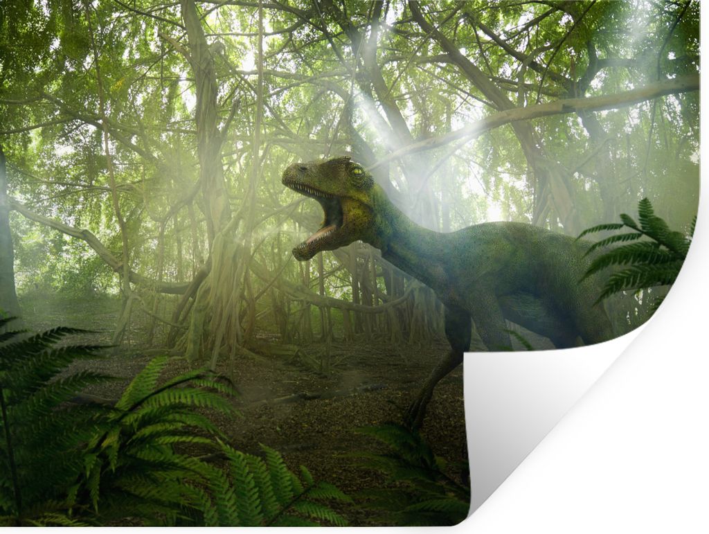 MuchoWow - Faltenfrei