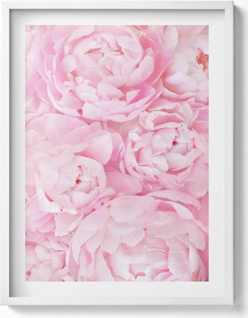 Blühende Blumen– Wandbild mit Rahmen – Gerahmtes Bild – Wanddekoration – 60x80 cm – Weiß Rahmen