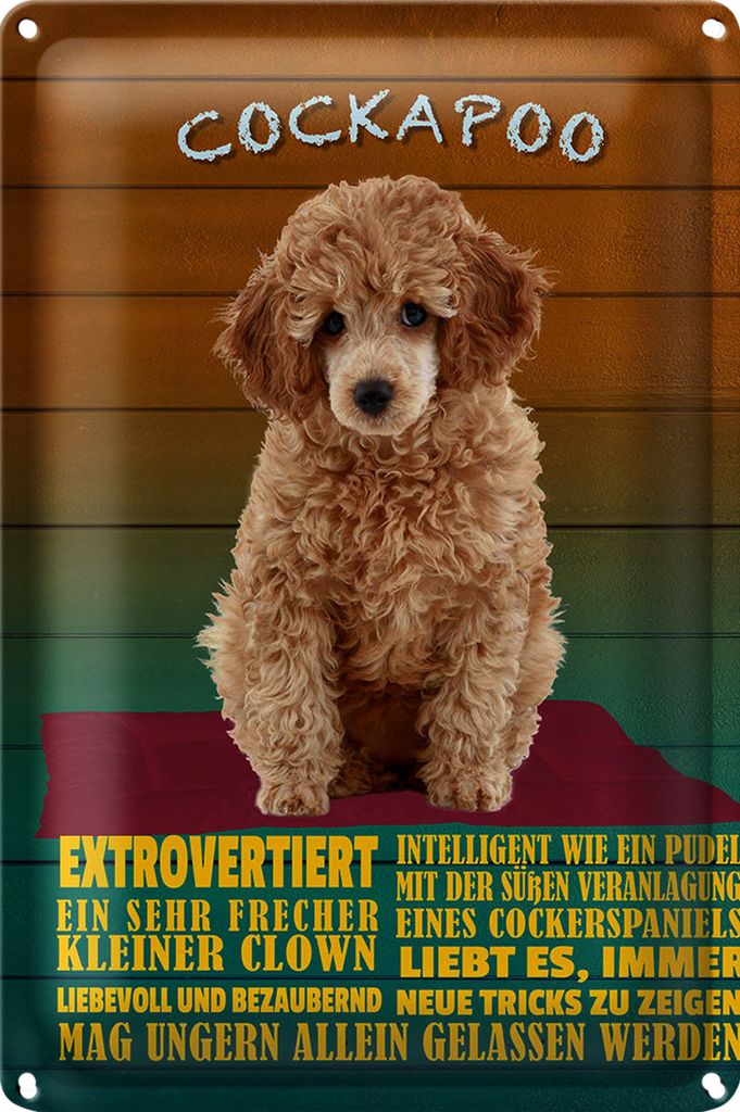 Blechschild Spruch 40x30cm Cockapoo Hund kleiner Clown