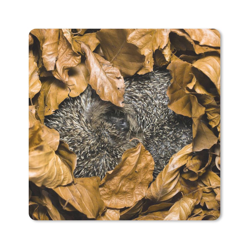 MuchoWow® Mauspad Mousepad Igel - Braun - Blätter 20x20 cm Produktbild 