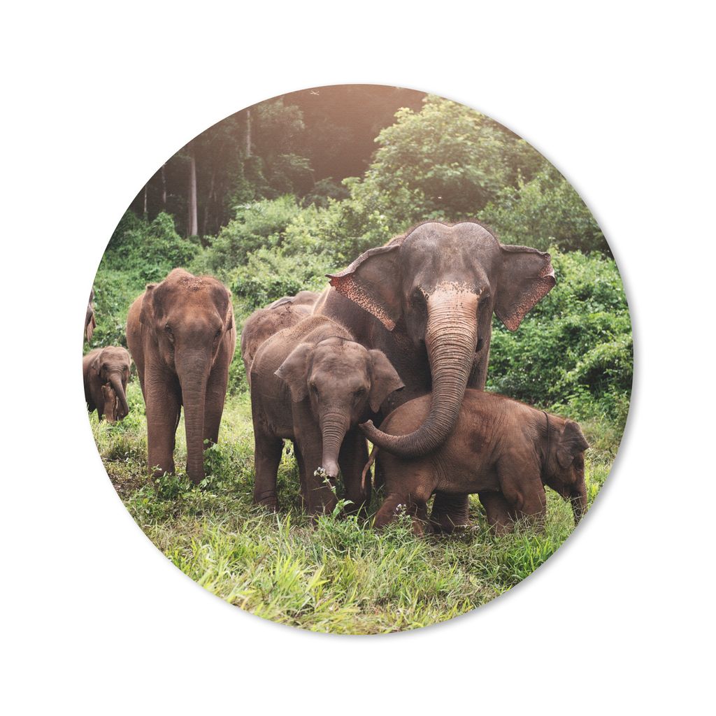 MuchoWow Mauspad Mousepad Elefant - Tiere - Wald - Gras - Grün 50x50 cm - Mousepads - Maus Mat - Pad - Mausunterlage - Vinyl
