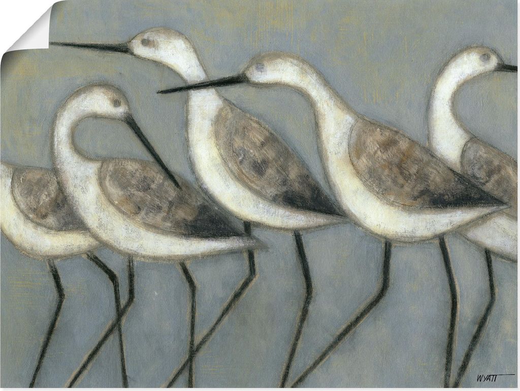 ARTland Poster Küstenvögel I Größe: 120x90 cm