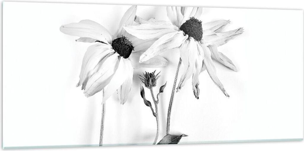 Bilder auf glas - Einteilig - Verwelkt Blumen Monochrom - 120x50cm - Glasbilder - Wandbilder - Bilder - Wanddekoration aus Glas - Glas Bilder - Wan...
