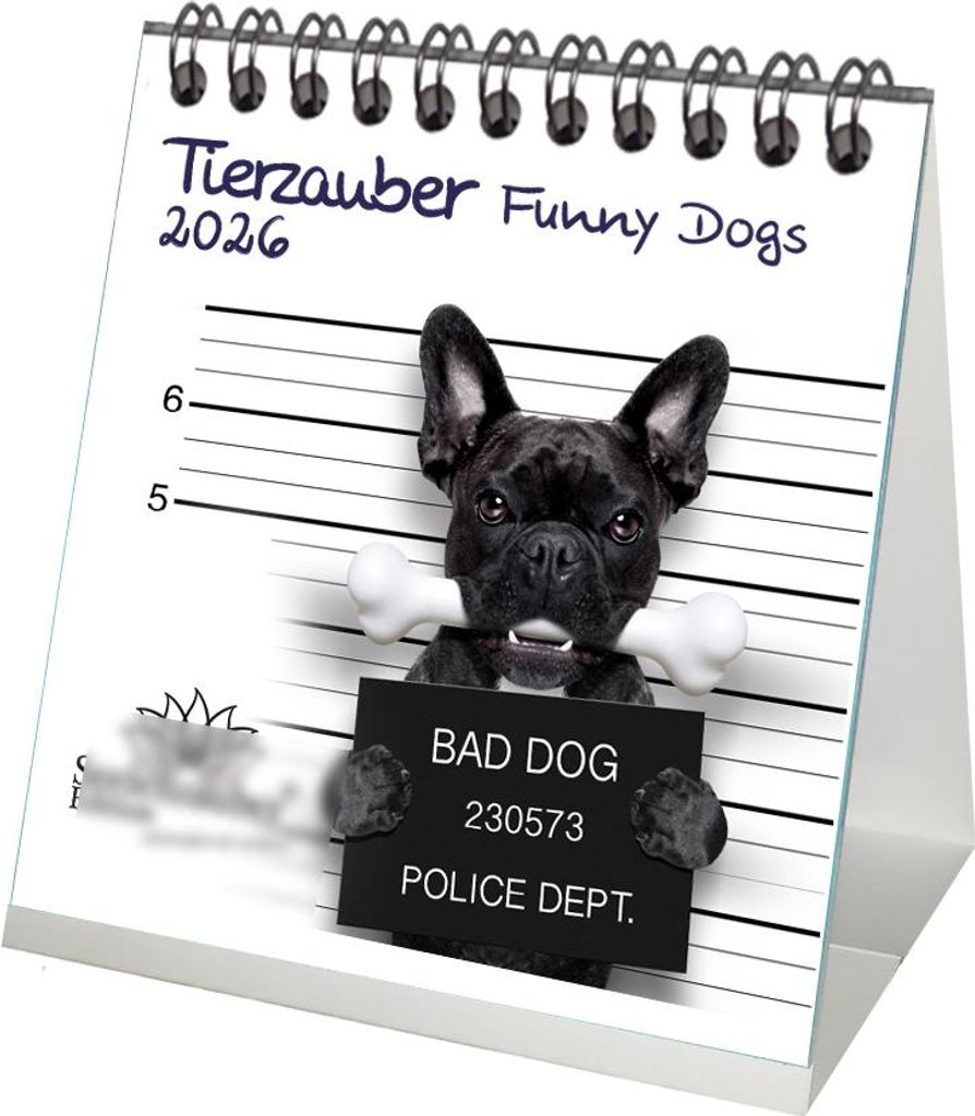 Tierzauber Funny Dogs Tischkalender 10cm x 10cm für 2026 Hunde Welpen - Seelenzauber