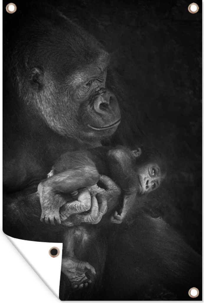 MuchoWow 60x90 cm Outdoor-Poster Gartendeko Sichtschutz Garten Poster für den Garten Ein Gorilla, der ein Affenbaby in den Händen hält, in Sc...