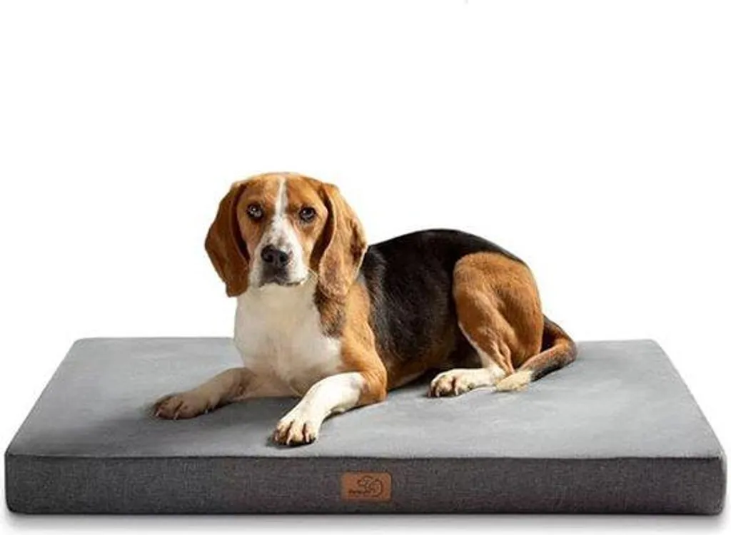 Coussin pour chien lavable et confortable - Couchage idéal taille 60x40cm