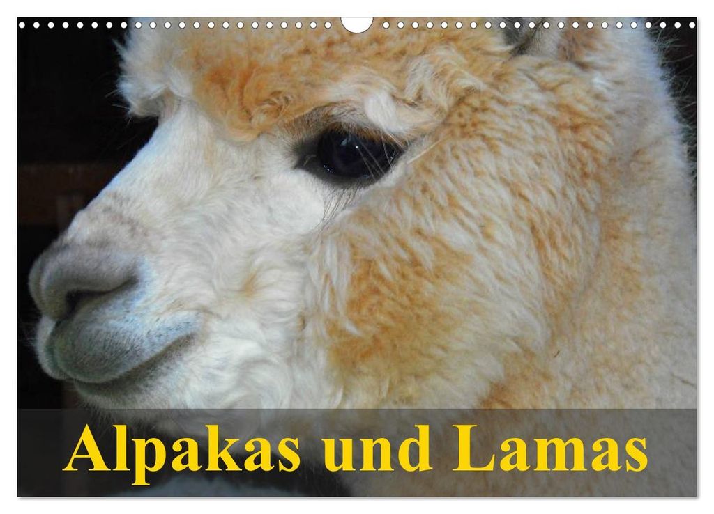 Alpakas und Lamas (Wandkalender 2027 DIN A3 quer), CALVENDO Monatskalender