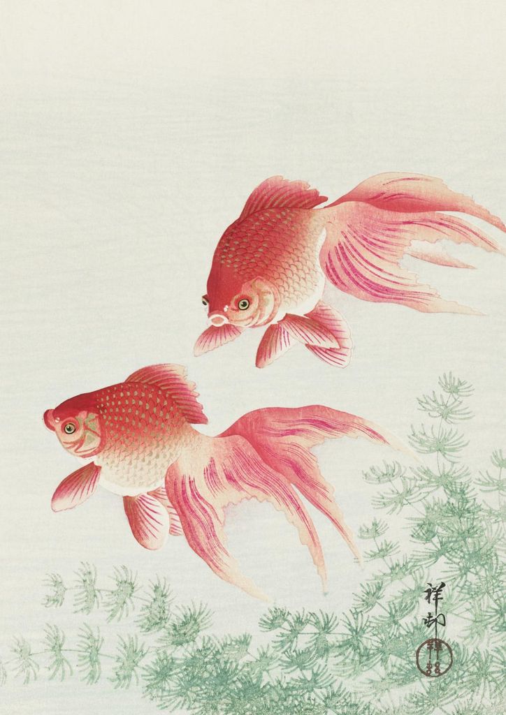 Plakat 29,7x42cm Two Veil Goldfish, Japanischer Vintage Koson für das Wohnzimmer