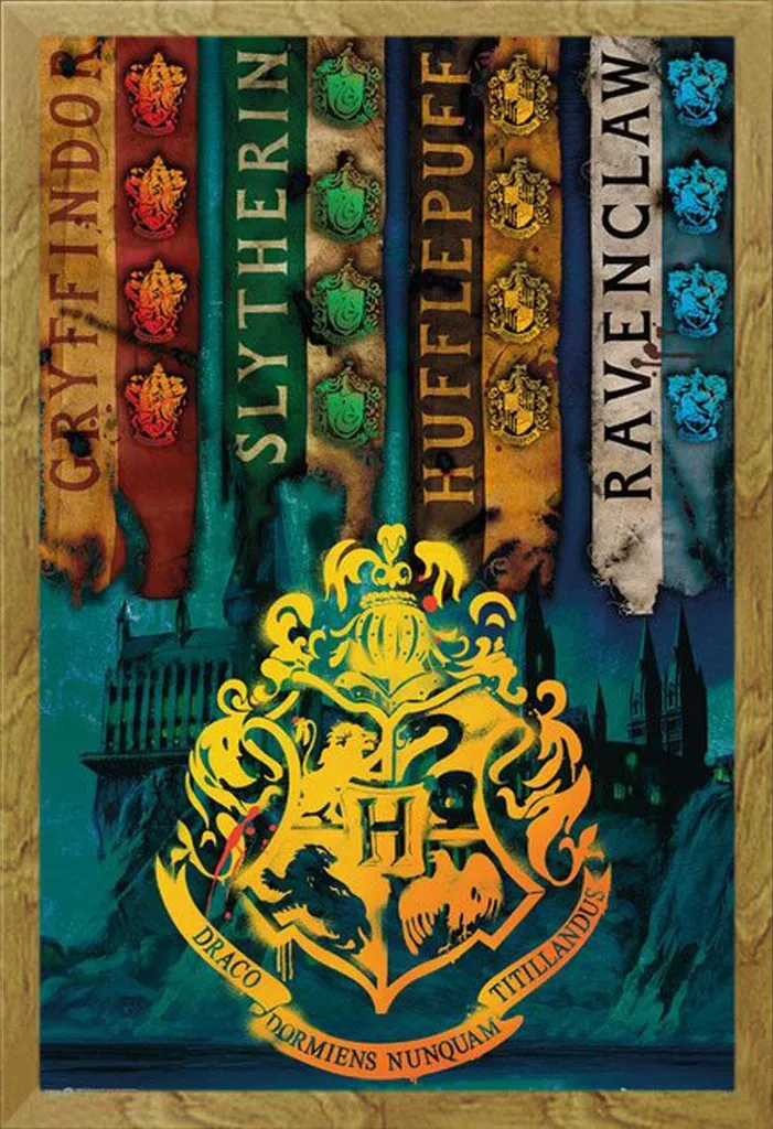 Offerta Poster Harry Potter con Cornice Shinsuke Rovere Maxi 61x91