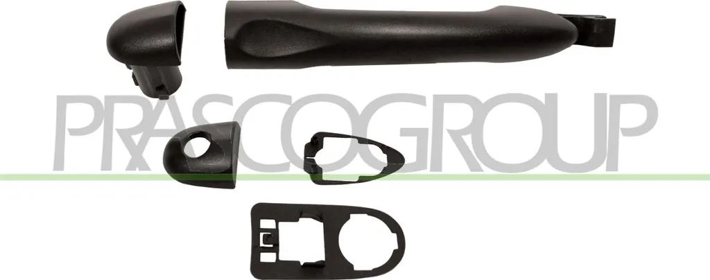 Poignée de Porte Extérieure pour Renault Captur I et Grand Scenic III JZ
