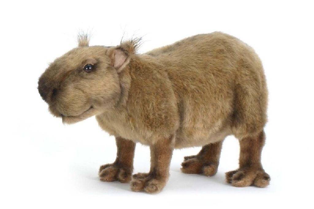 Hansa Toy 5128 Capybara (Wasserschwein) 32 cm Kuscheltier Produktbild 