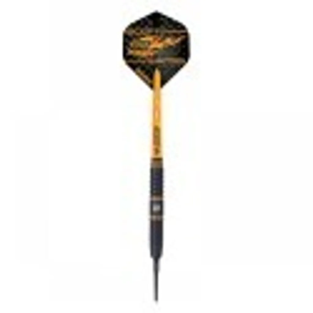 Set de fléchettes de conversion Winmau Scott Waites 18g haute qualité - 14
