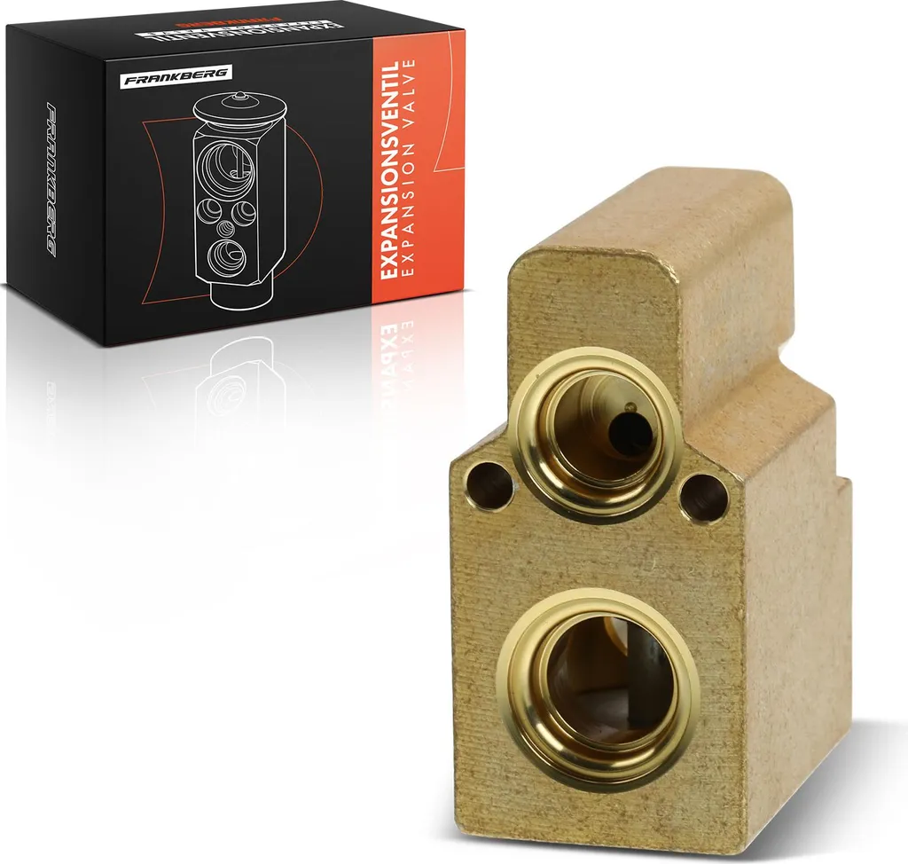 Frankberg Détendeur Climatisation 1x pour Renault Clio II Kangoo Master