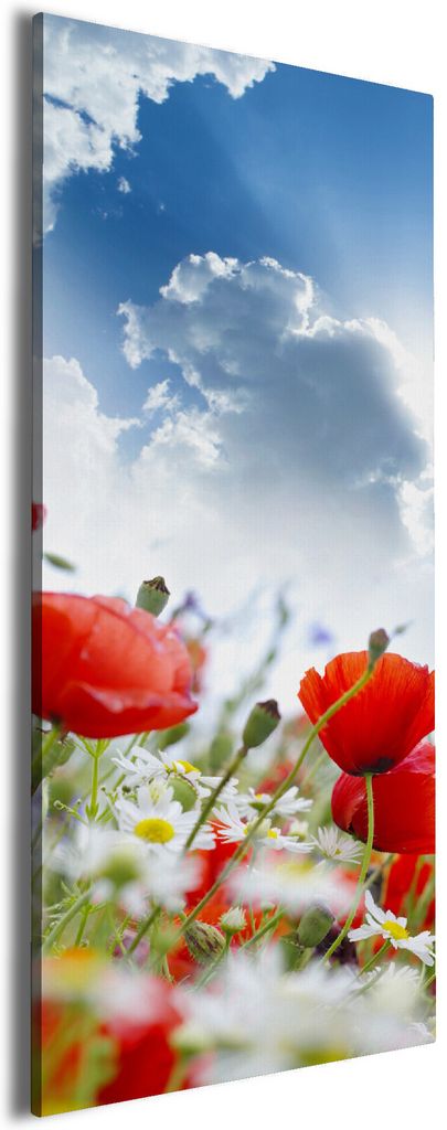 Wallario Premium Leinwandbild Mohnblumen unter blauem Himmel in Größe 50 x 125 cm