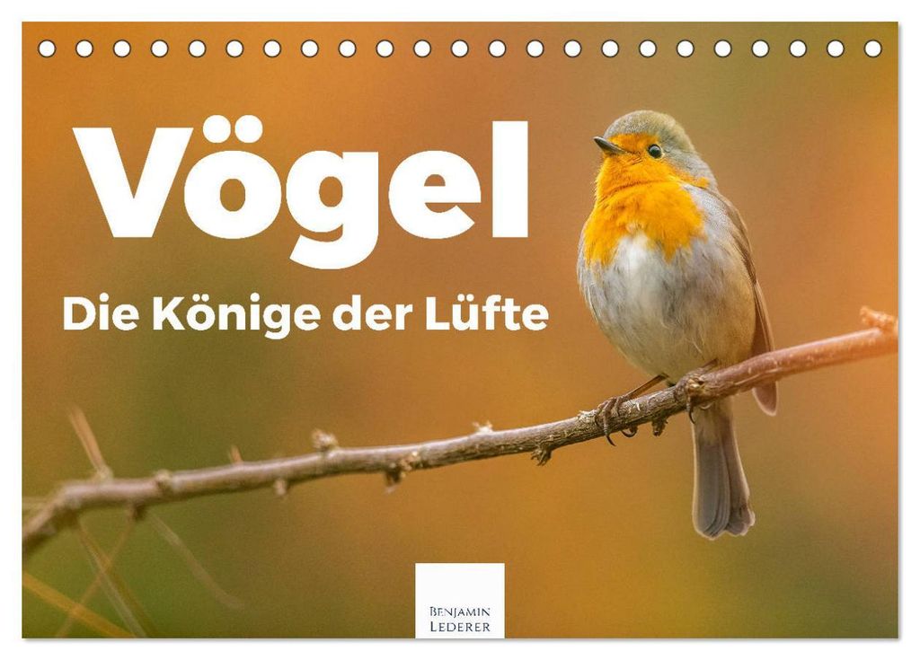 Vögel - Die Könige der Lüfte (Tischkalender 2027 DIN A5 quer), CALVENDO Monatskalender